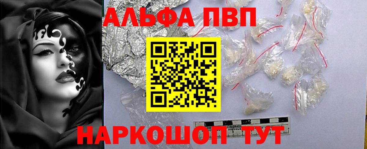 Альфа ПВП СК Сосновый Бор