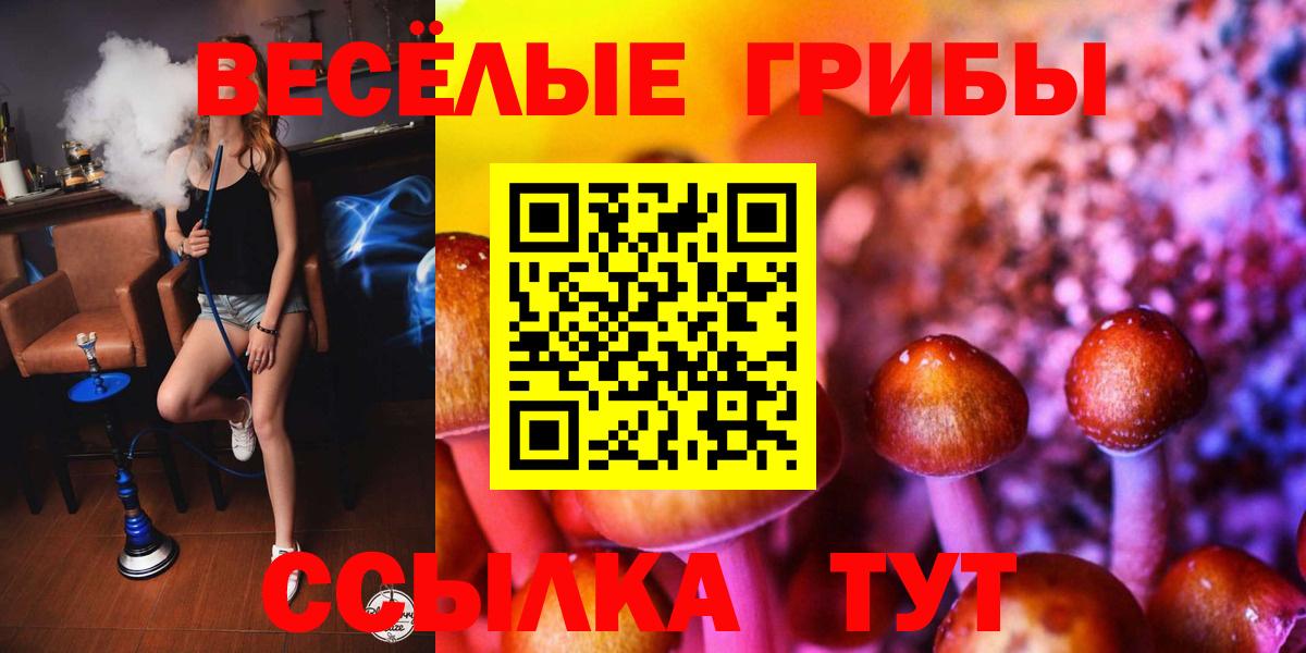 Галлюциногенные грибы Psilocybine cubensis Сосновый Бор