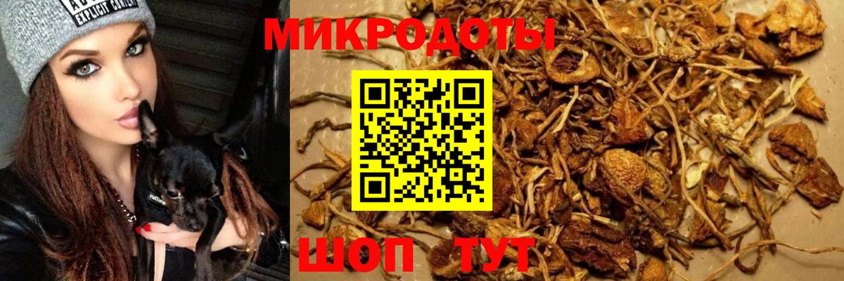 Галлюциногенные грибы Psilocybe  Вход с VPN  Сосновый Бор  Галлюциногенные грибы Psilocybine cubensis 